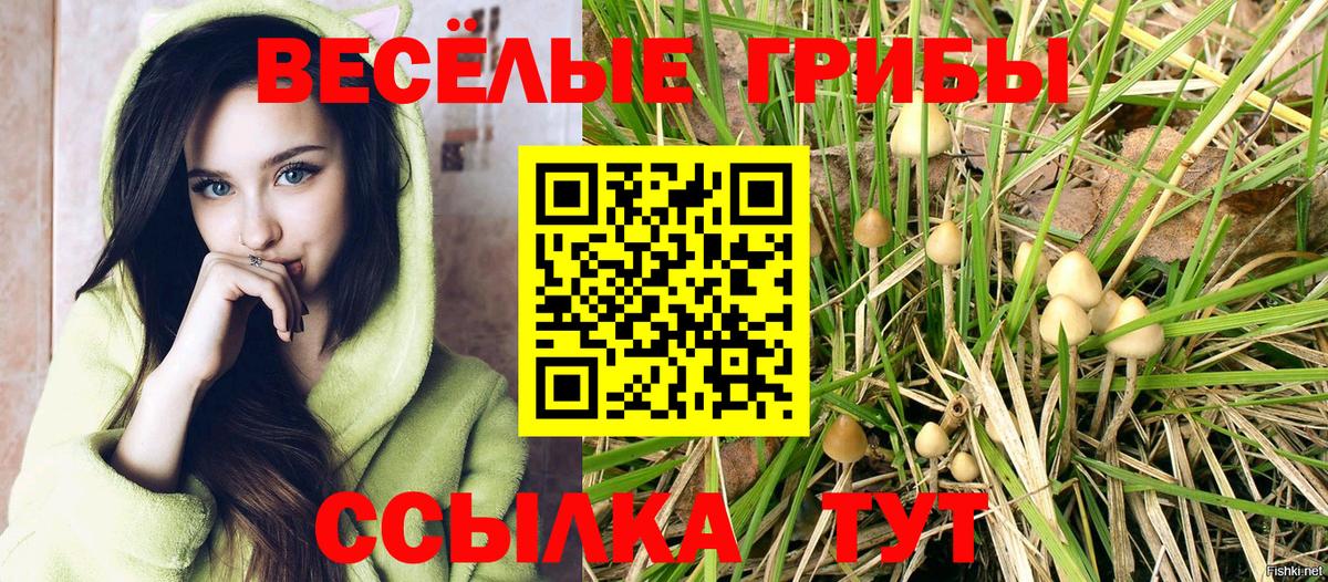 Галлюциногенные грибы Psilocybe  Галлюциногенные грибы ЛСД  Владикавказ  Вход с VPN 